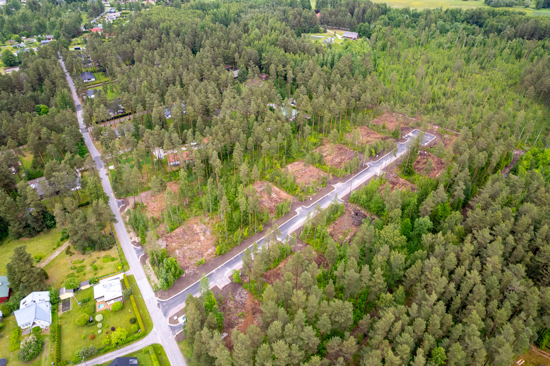 Ruusamäe arendus männimetsas Laadi külas